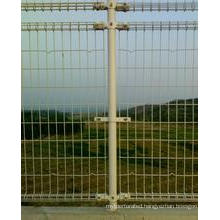 High Quality Double Loop Fence in Anping Tianshun Factory